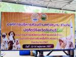 โครงการคุมกำเนิดสุนัขและแมวที่มีดจ้าของและไม่มีเจ้าของโดยการ